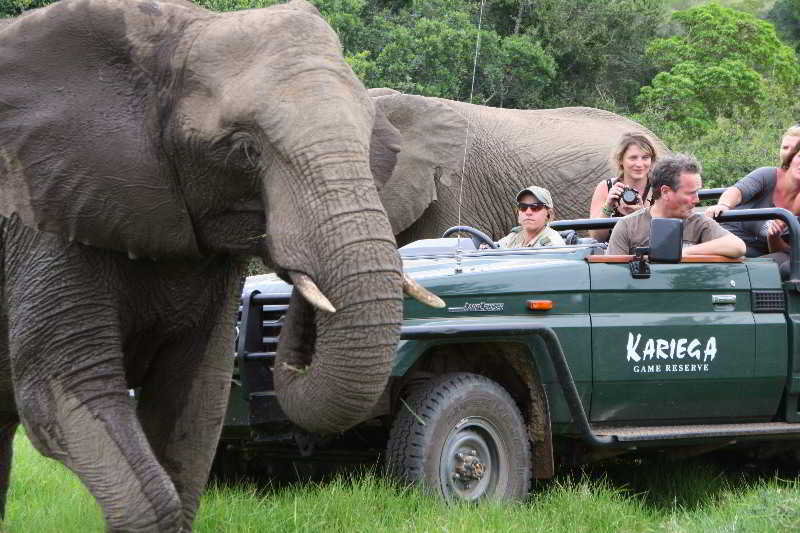 Kariega Game Reserve Bushman's River Mouth Exteriör bild