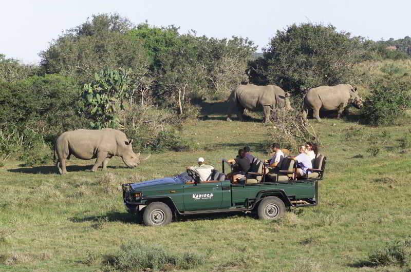 Kariega Game Reserve Bushman's River Mouth Exteriör bild